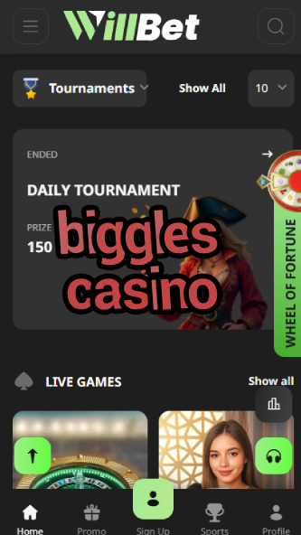 Biggles Casino - Aviation-Themed Casino-www.bdqngd.com